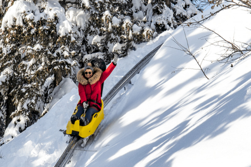 Sledging Park - Coaster luge (rail sledge)