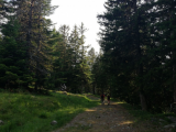 Arselle Plateau path