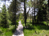 Réserve Naturelle du Lac Luitel