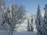 Plateau de l'Arselle Chamrousse