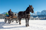 Horse-drawn carriage ride ''La liaison''