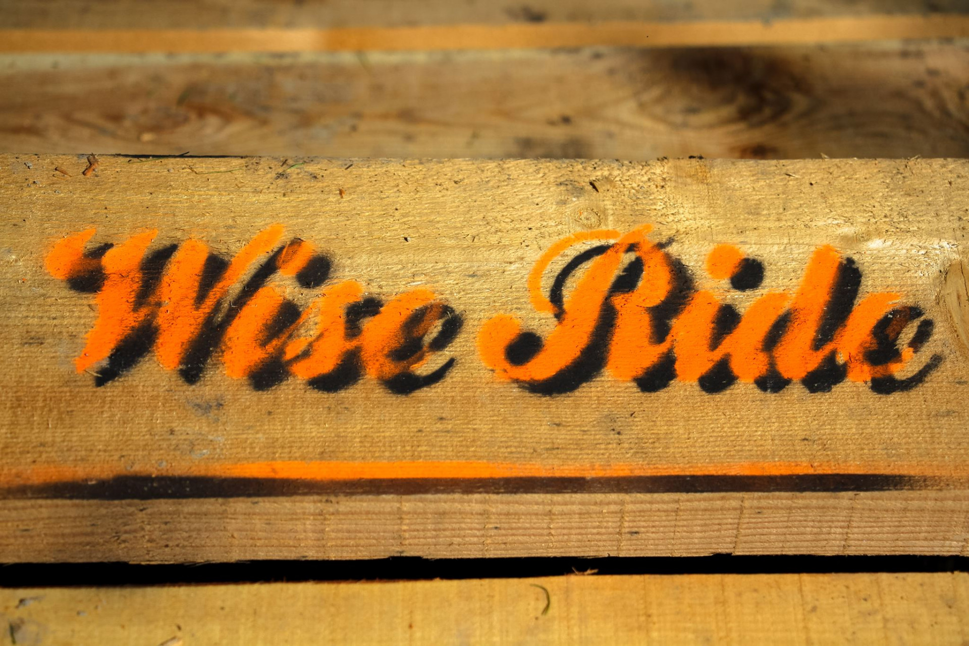 Wise ride