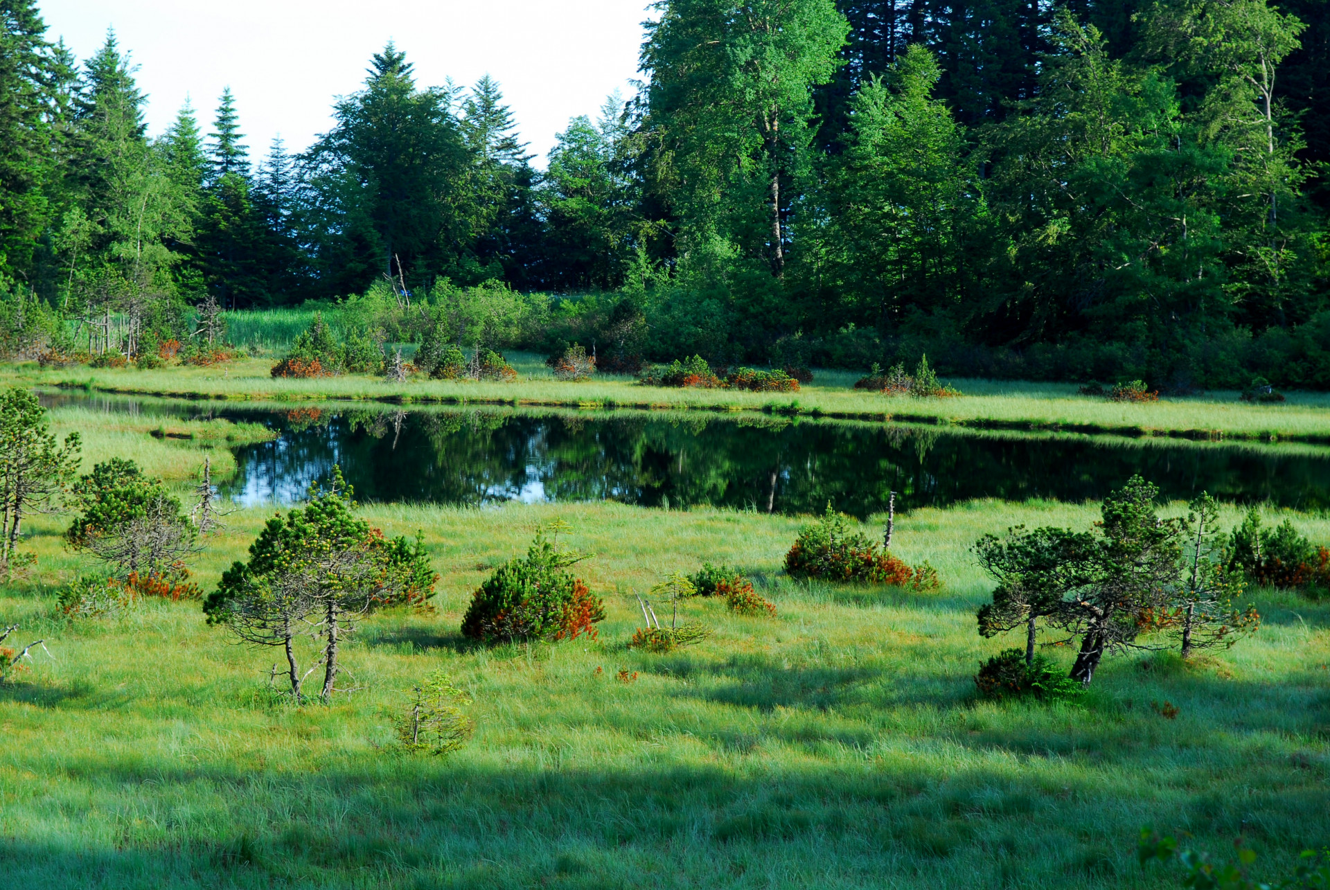 Réserve Naturelle du Lac Luitel