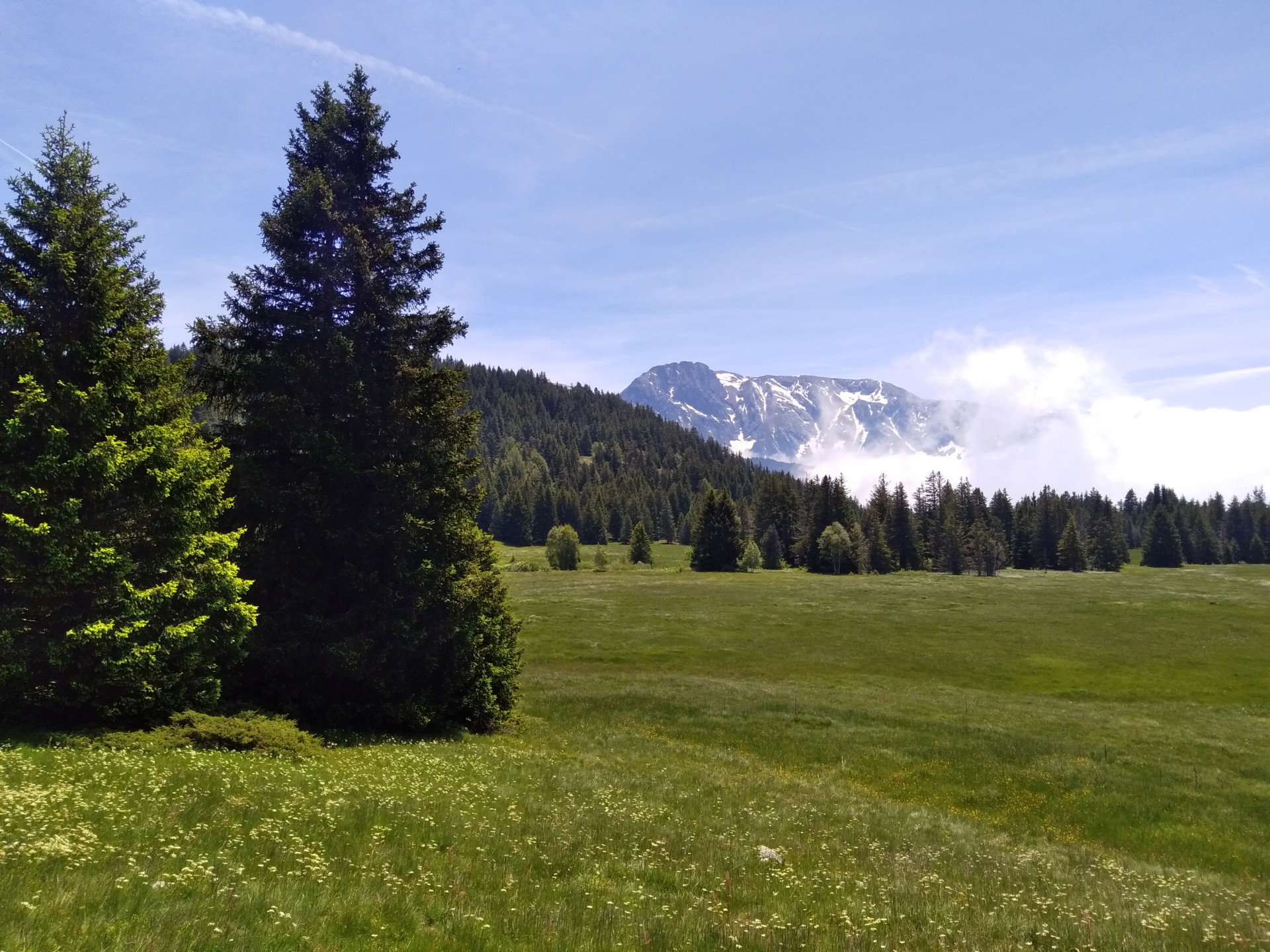 Plateau de l'Arselle