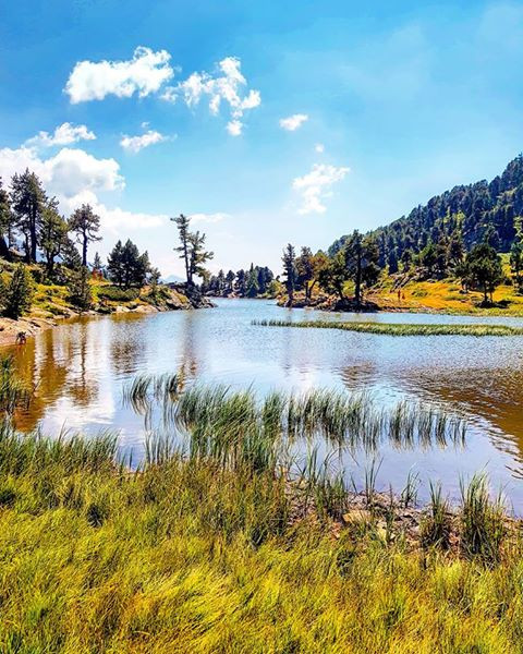 Lac Achard