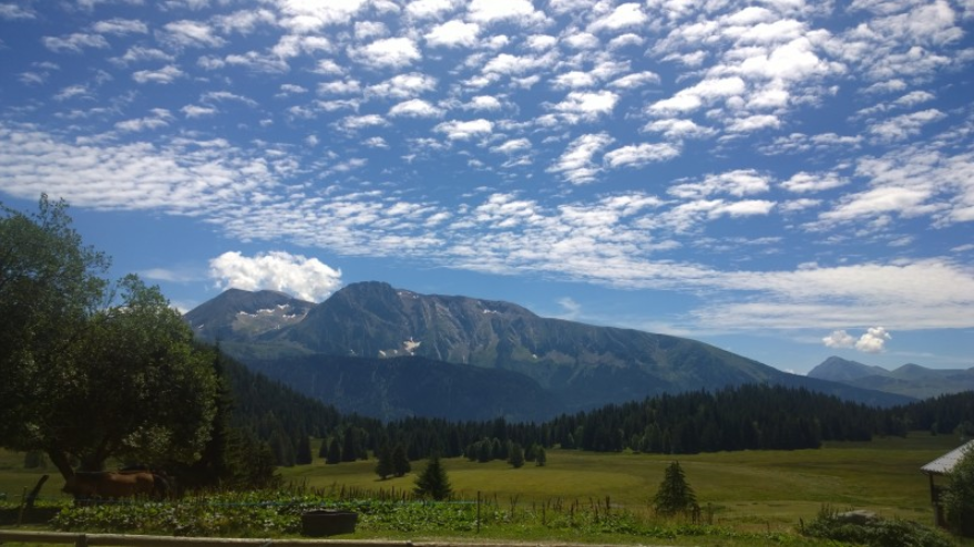 Plateau de l'Arselle