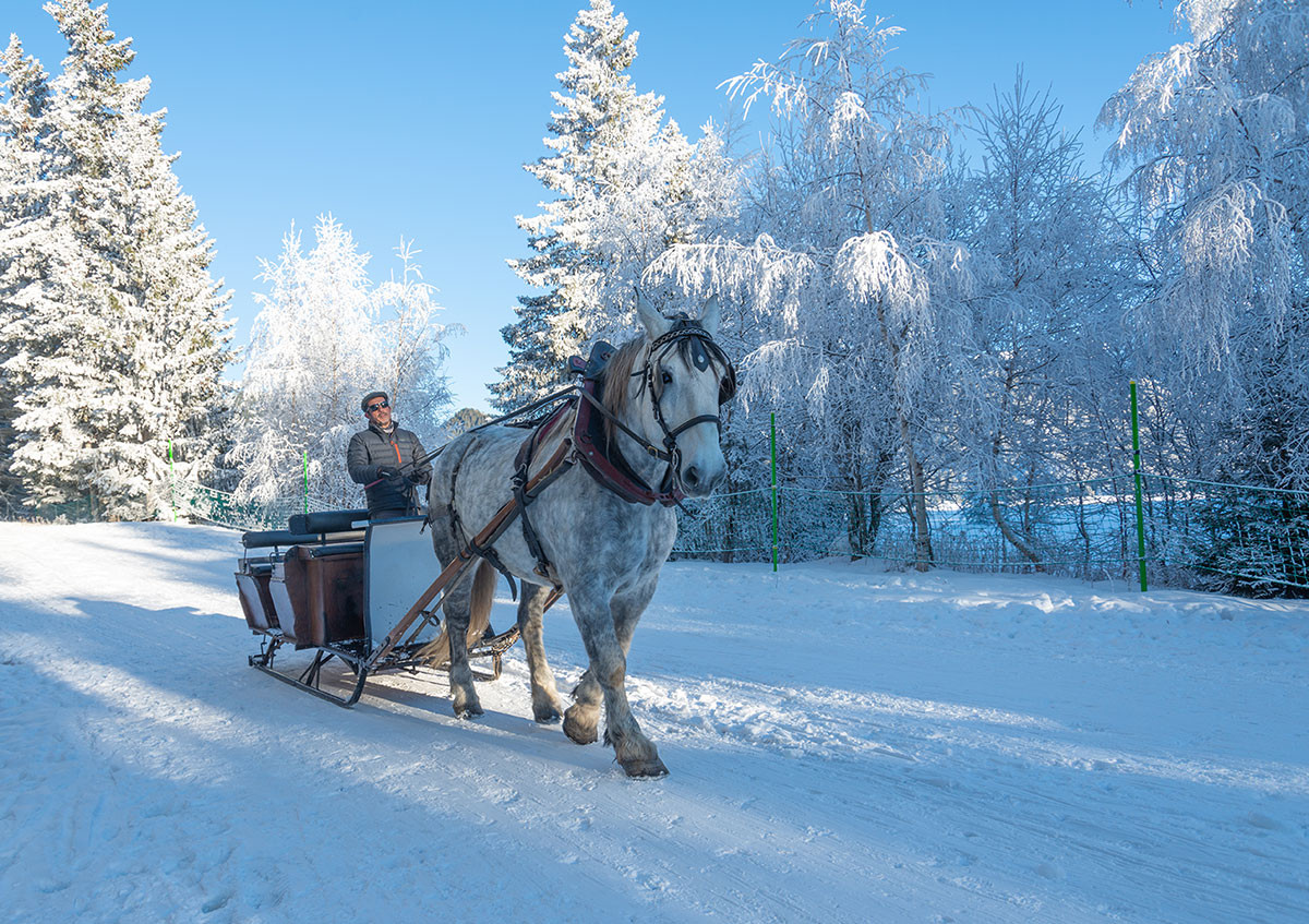 Horse-drawn carriage ride ''La liaison''