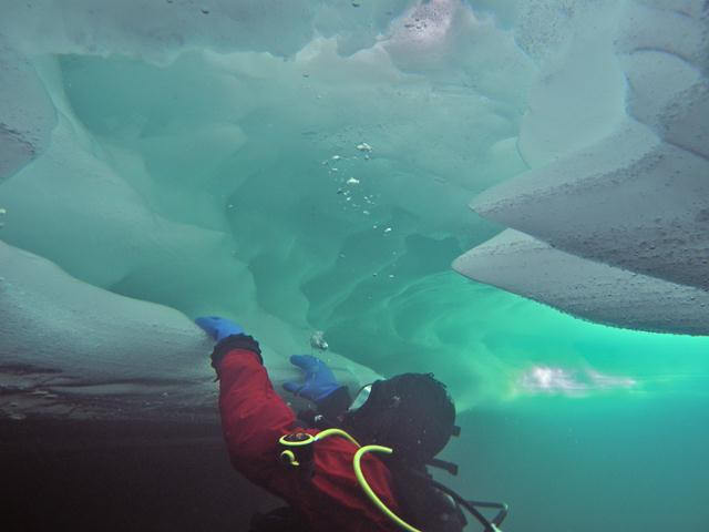 Plongée sous glace - Dive Xtrème