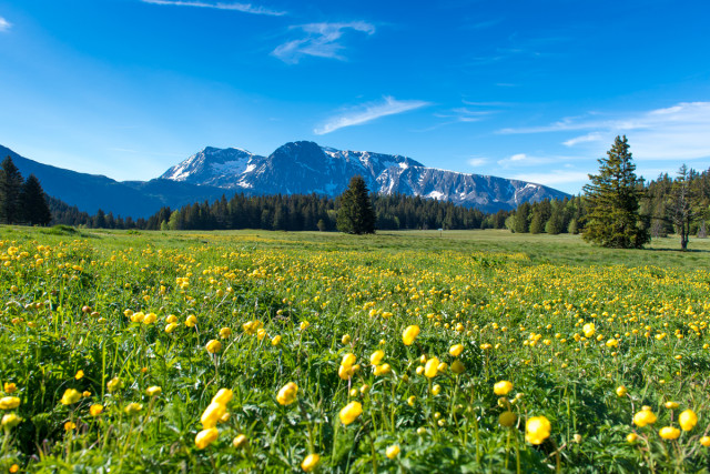 Arselle plateau in summer