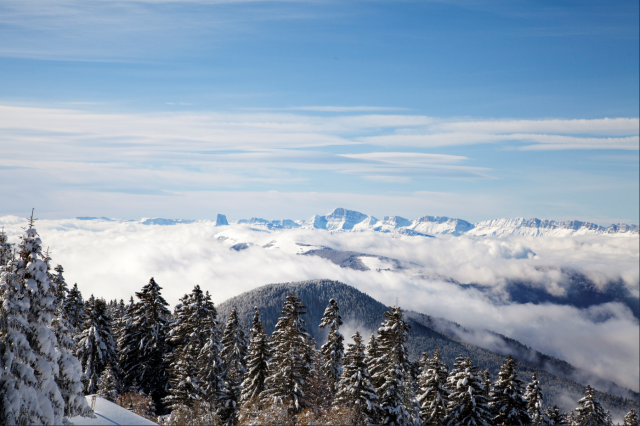 Panoramablick auf Grenoble