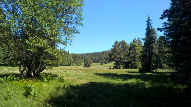 Plateau de l'Arselle Chamrousse