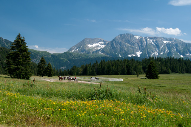 Plateau de l'Arselle en été