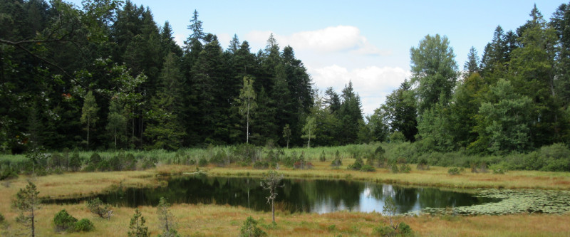 Le Lac Luitel et sa tourbière
