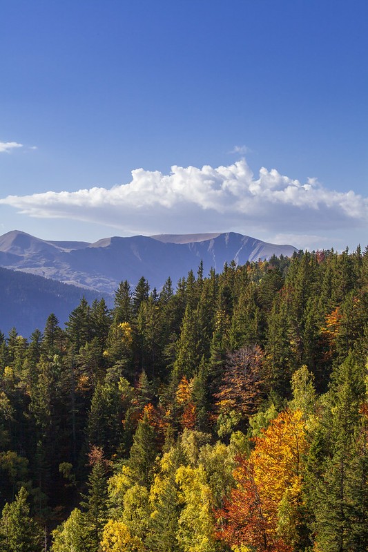 Plateau Arselle Chamrousse en automne