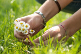 Cuisine aux plantes alpines