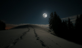 Snowshoeing at night