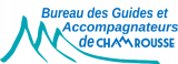 Logo BGAC