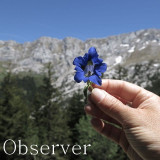 Chamrousse well-being hike