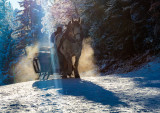 Chamrousse carriage ride