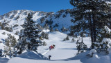 Belledonne en Marche