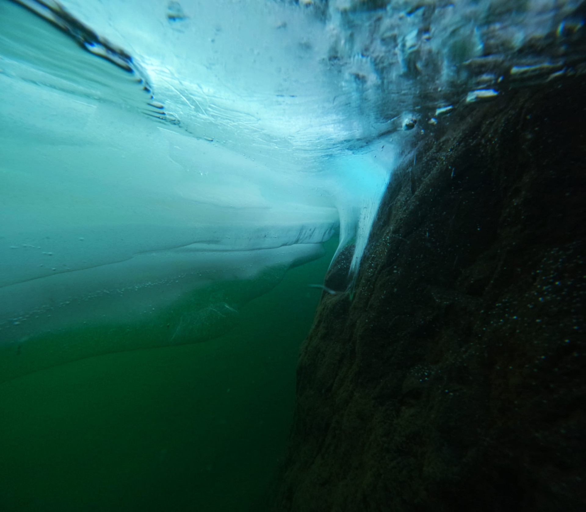 Plongée sous glace