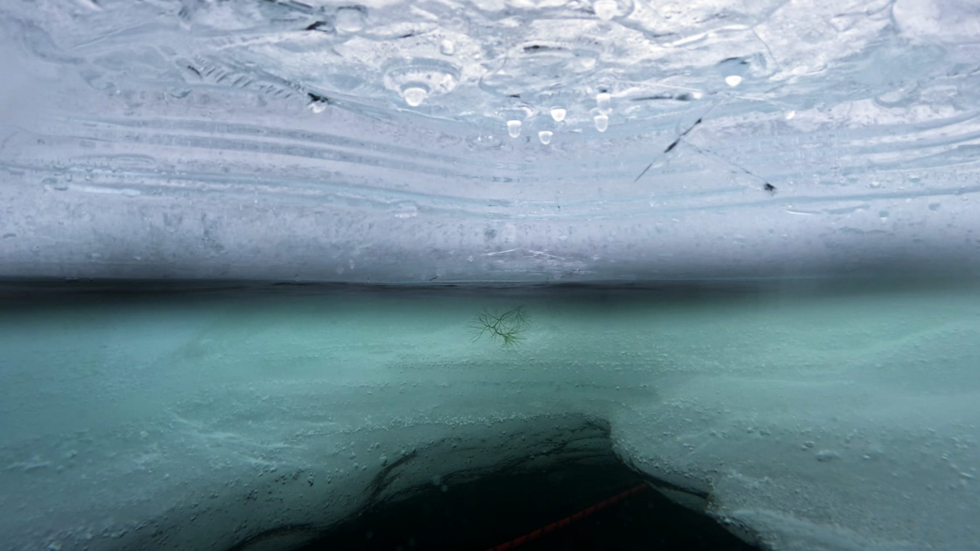 Plongée sous glace