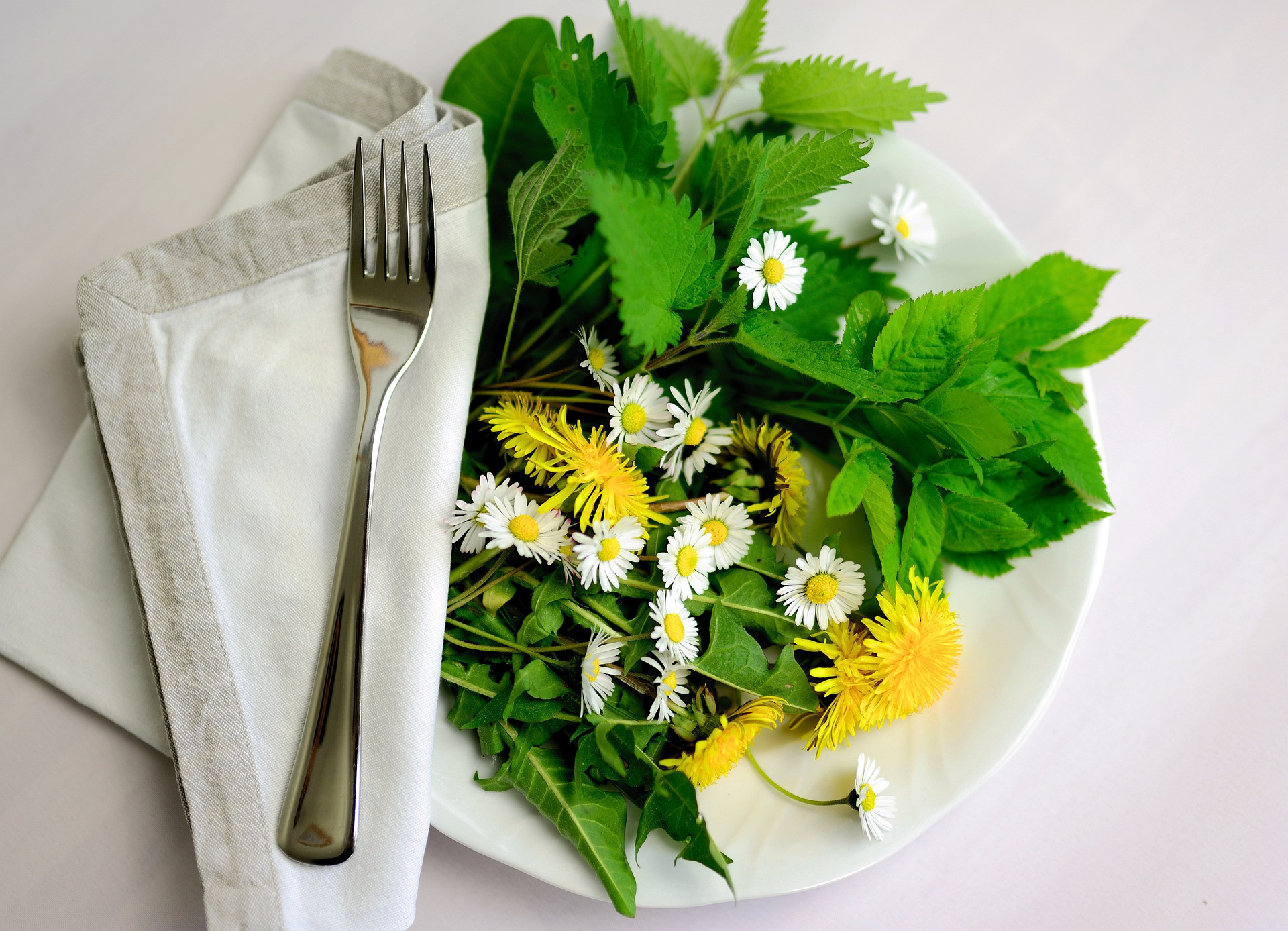 Cuisine aux plantes alpines