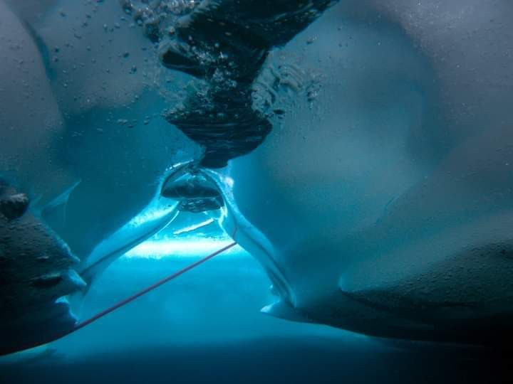 Ice diving