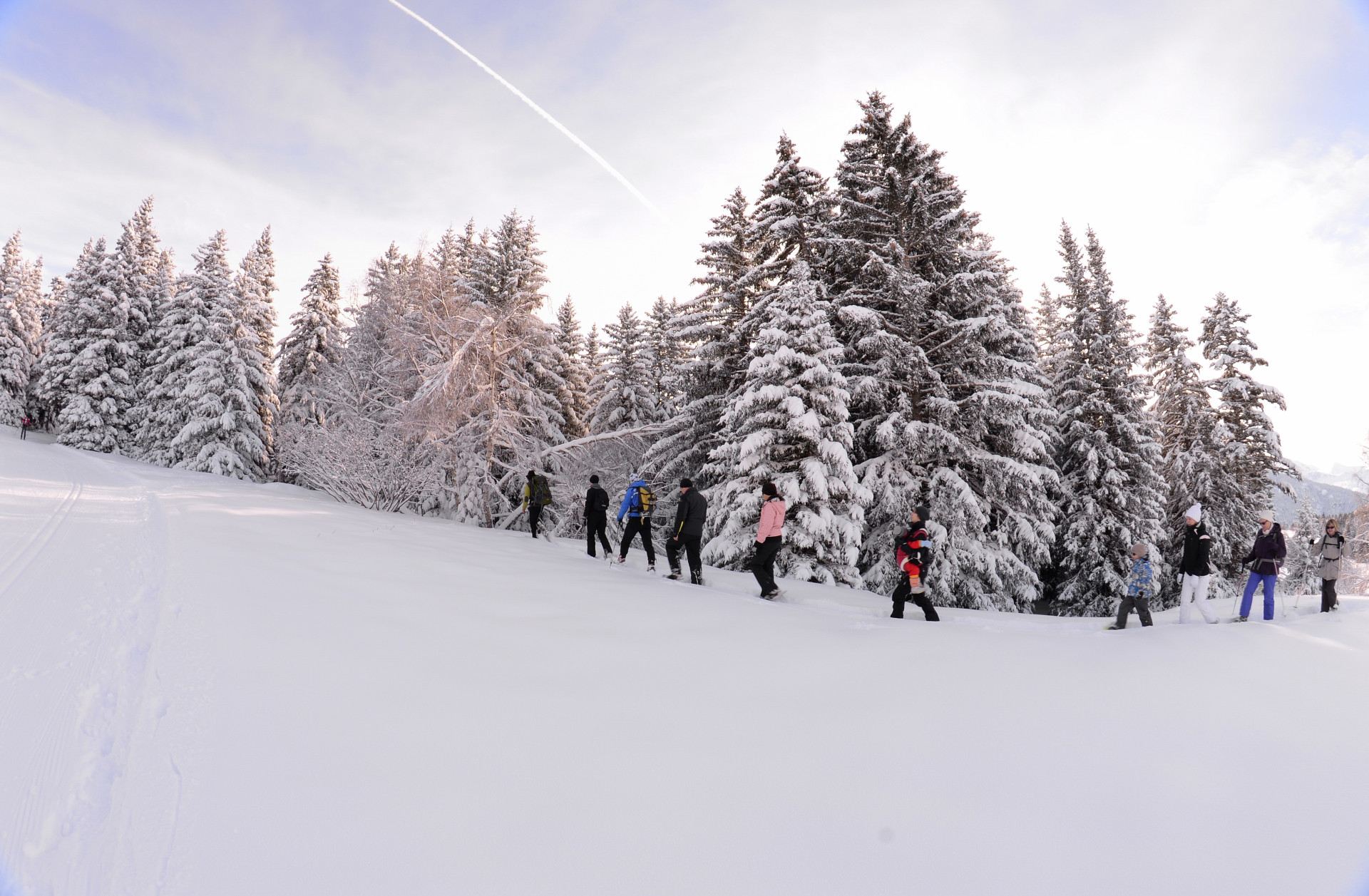 Snowshoeing guided