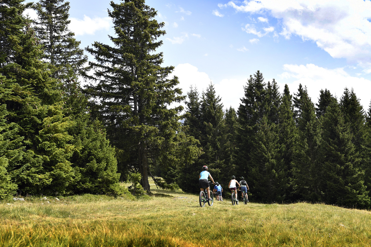 Ecole de vélo MCF de Chamrousse « Sgambato Mountain Activities »