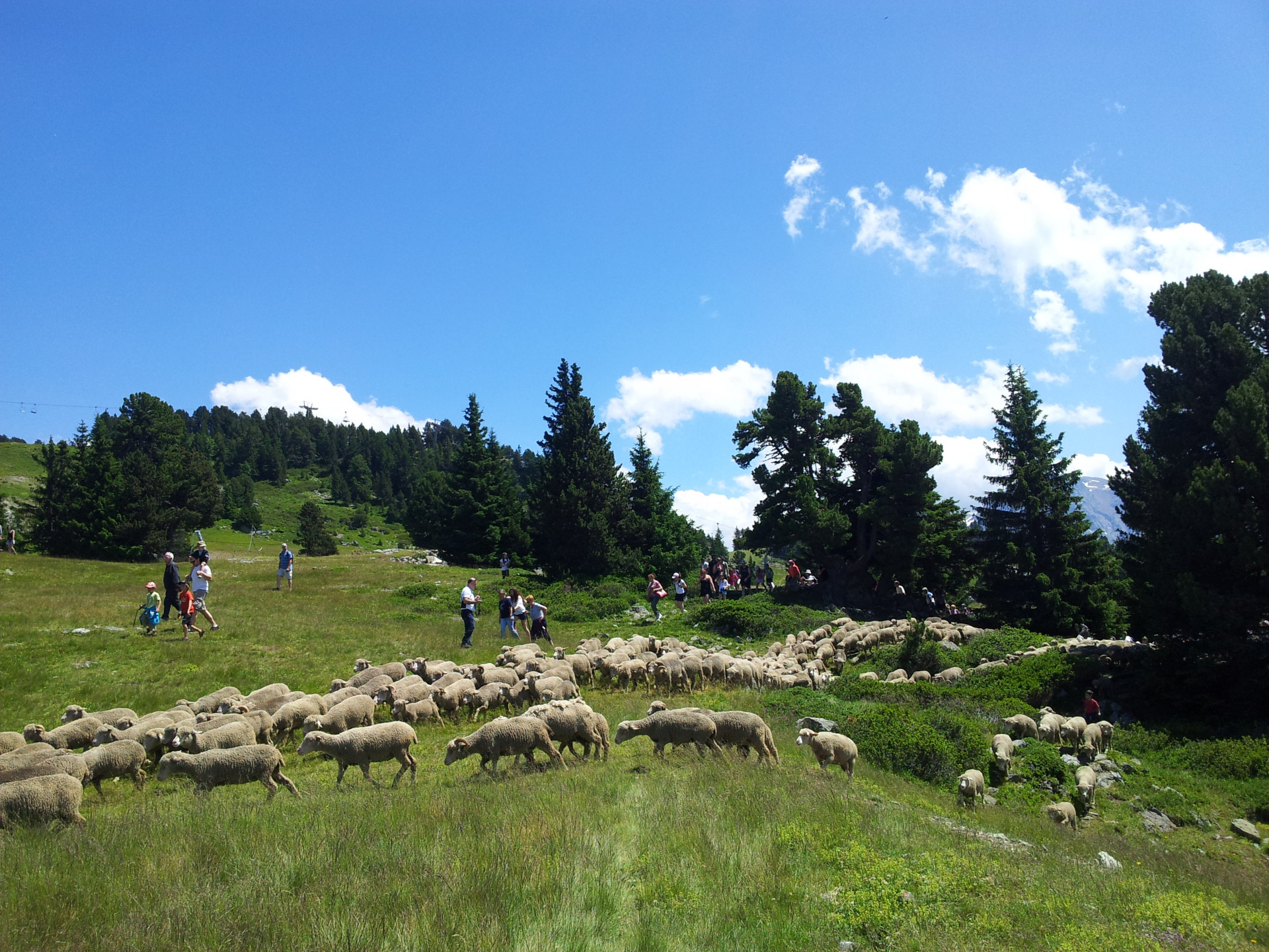 Fête de la Transhumance