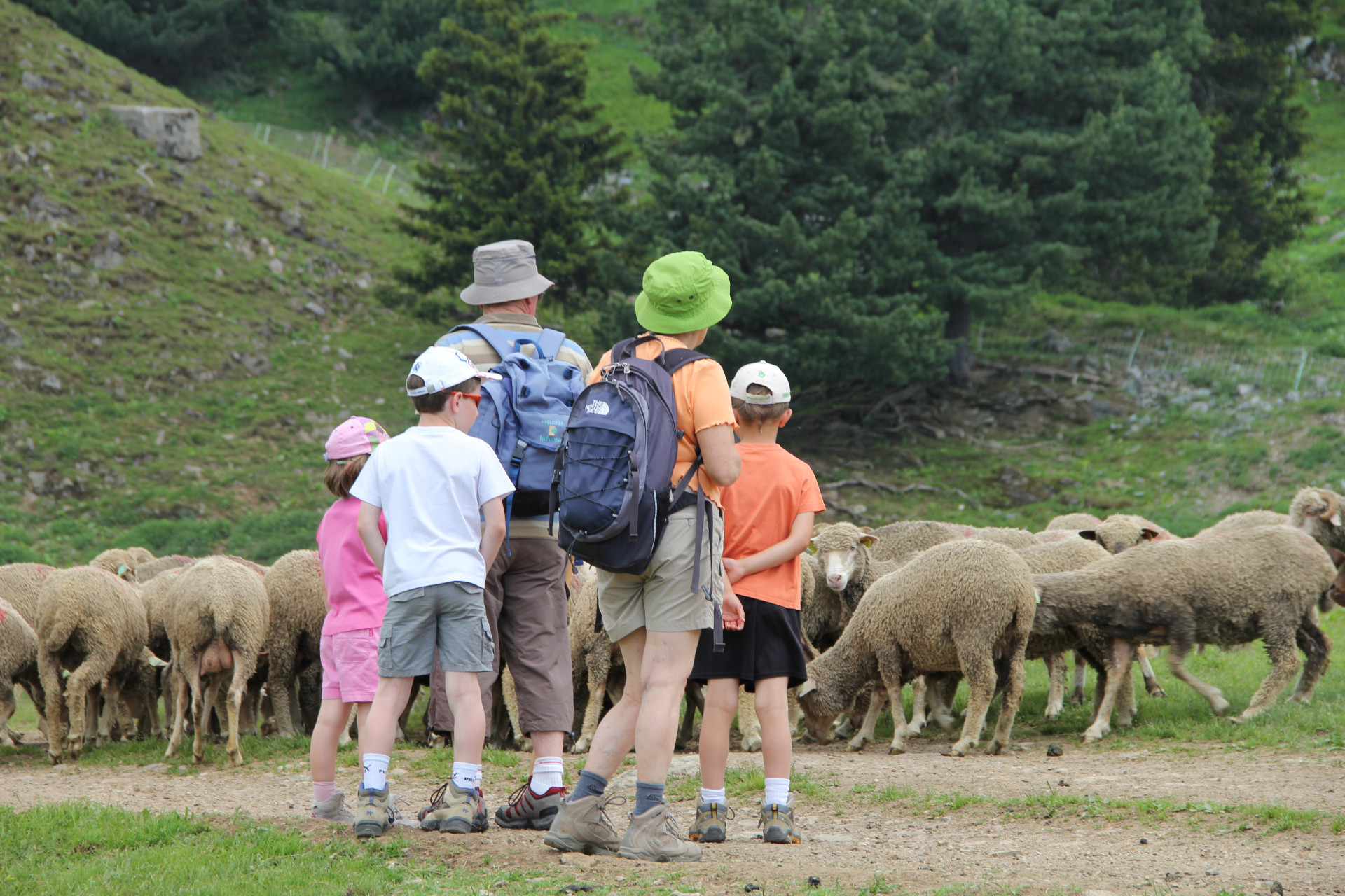 Chamrousse Celebration of seasonal migration