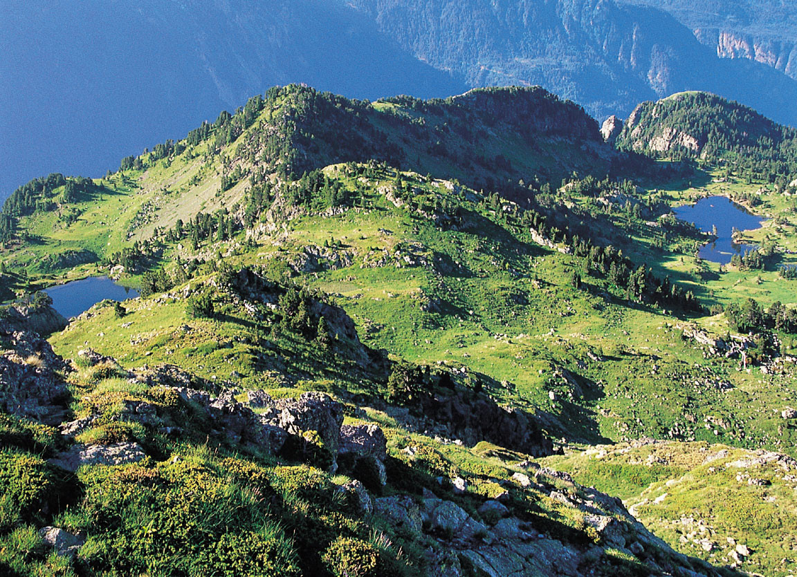 Chamrousse trail