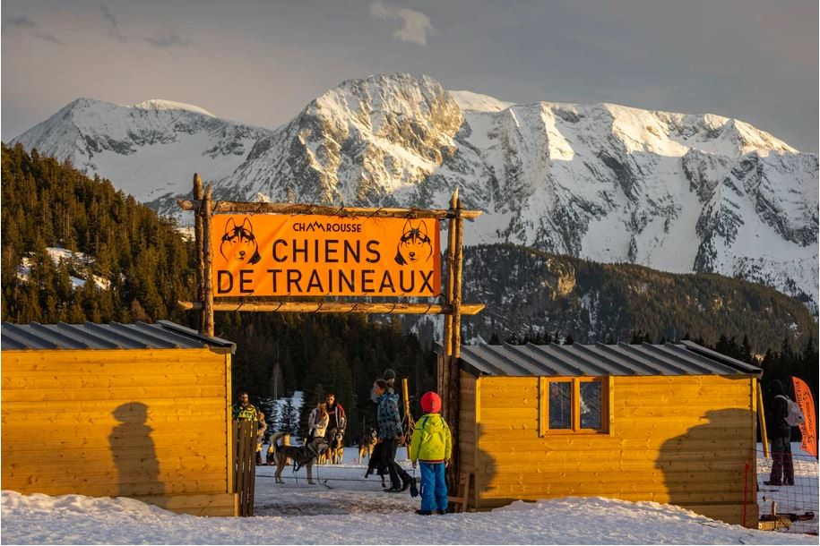 Schlittenhunde von Chamrousse