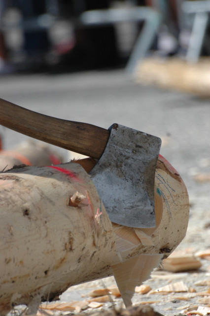 Chamrousse wood day