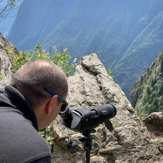 Observation de la faune