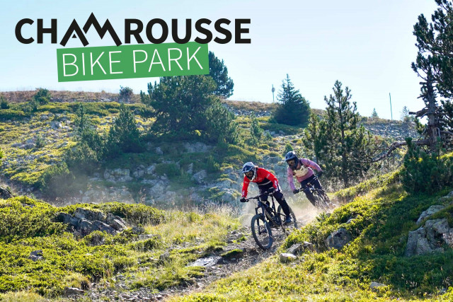 Chamrousse bike park vtt descente sapin terre caillou rocher racine été station montagne isère alpes france
