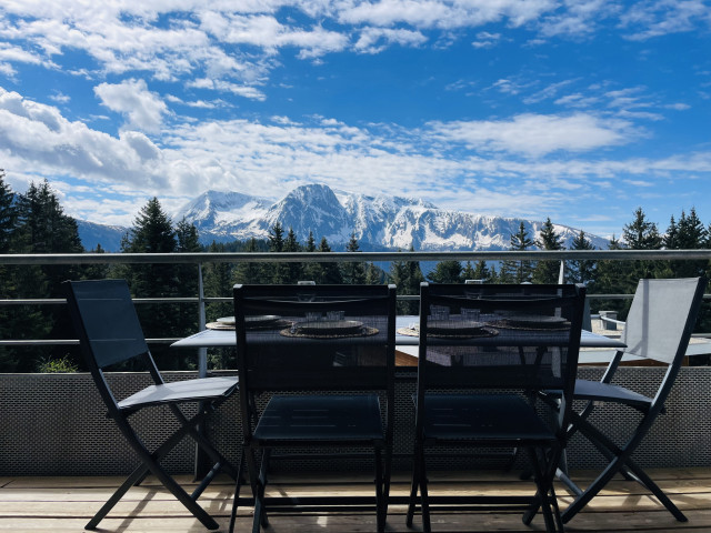 terrasse-vue-montagne-img-9052-4211753